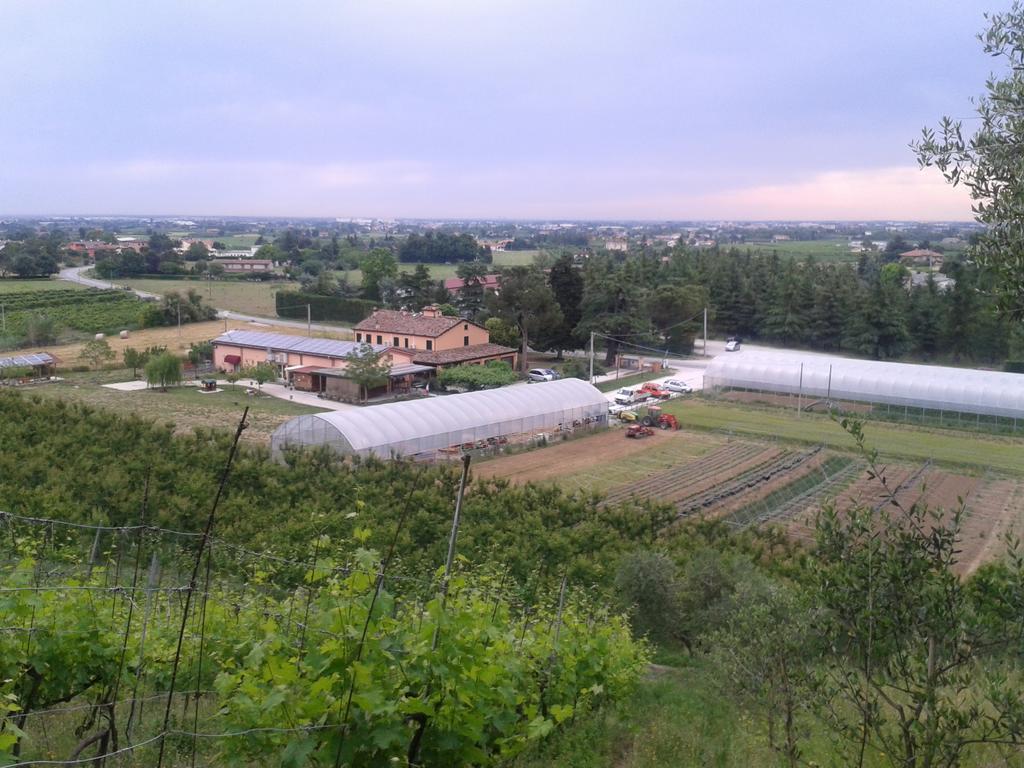 Agriturismo Perugini Bed & Breakfast Чезена Екстериор снимка